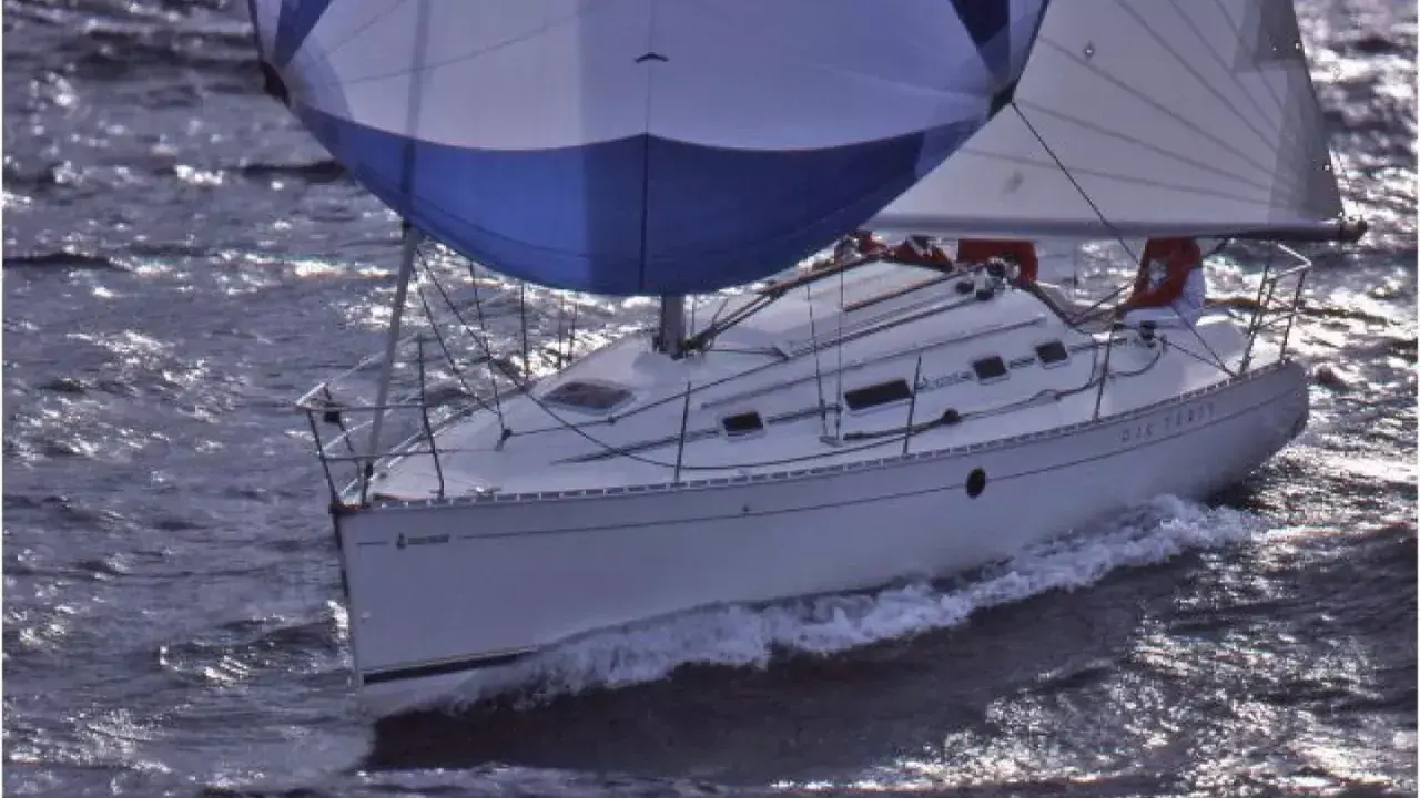Voilier blanc naviguant sur des eaux agitées, ses voiles bleues et blanches gonflées par le vent. Le nom "DIE-TERRY" est visible sur la coque.