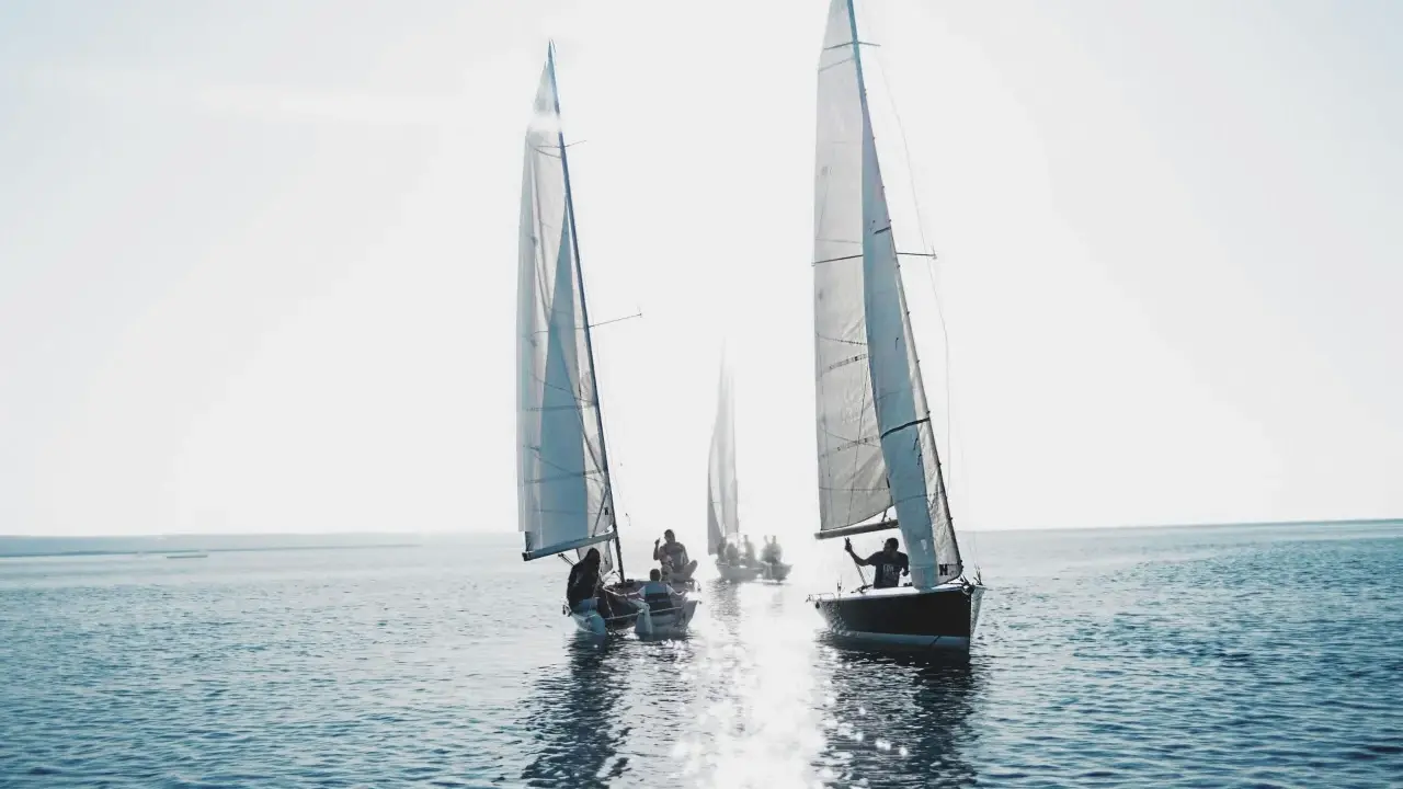 Voiliers naviguant au soleil. Le vent gonfle les voiles, une scène qui illustre la **tribord amure définition** en action.