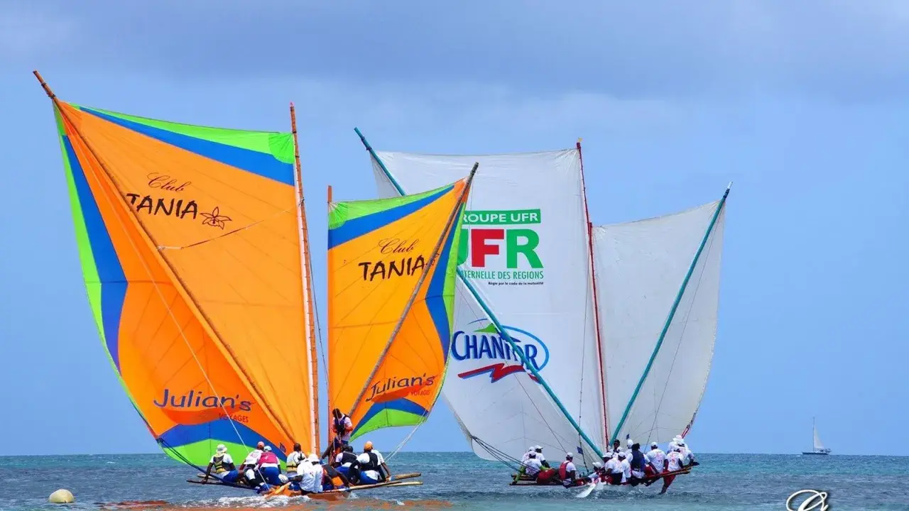 Plusieurs yoles bateaux colorées naviguent sur une mer bleue, leurs voiles gonflées par le vent.