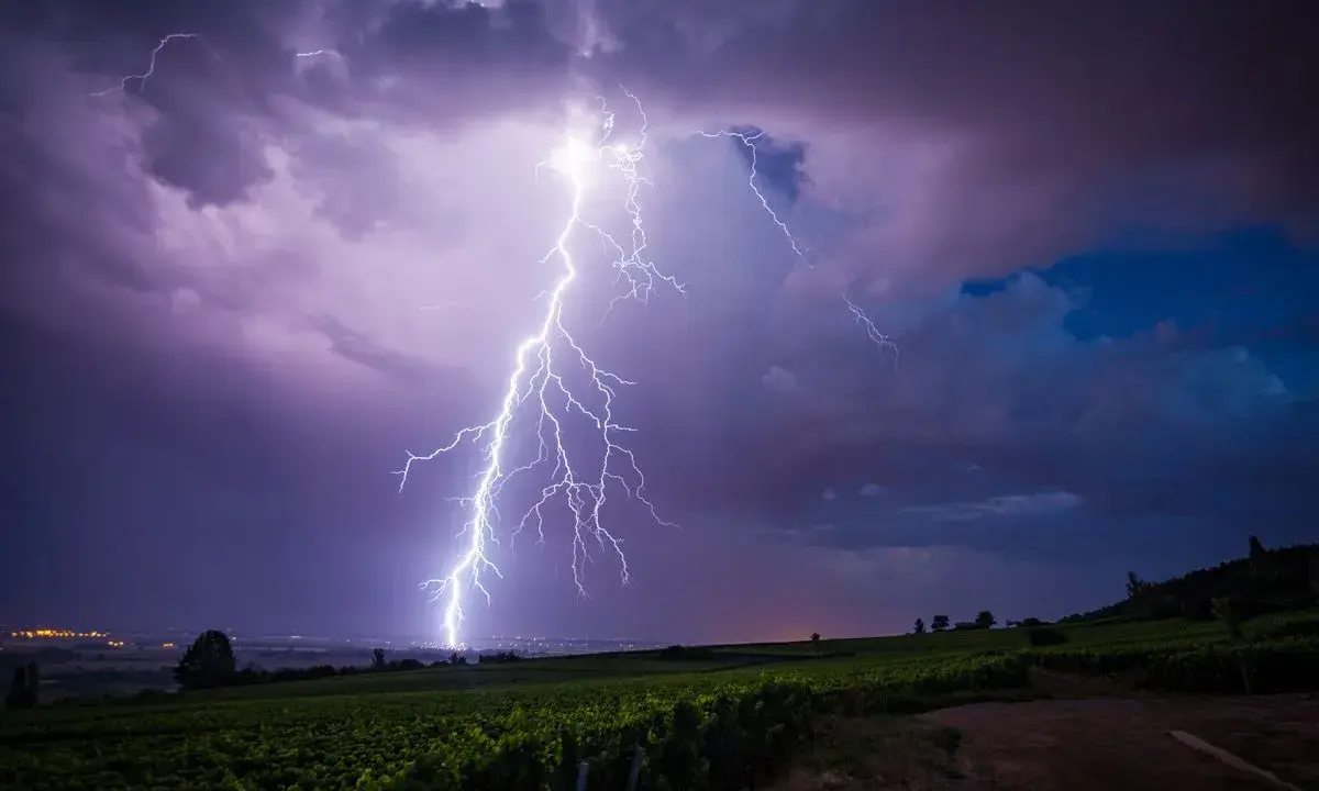 Un éclair zèbre le ciel violacé, illuminant un vignoble sous un orage de mer. La foudre frappe au loin, près d'une ville scintillante.