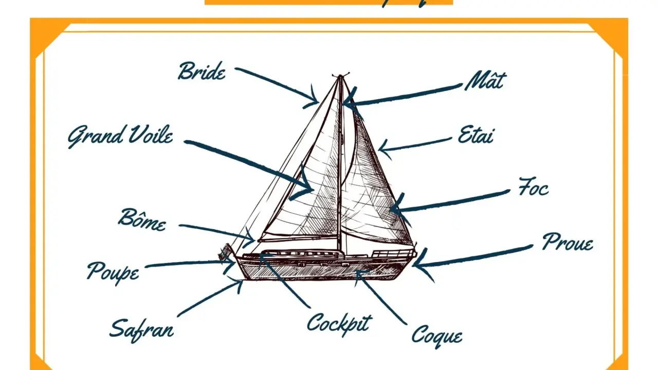 Schéma d'un voilier expliquant les parties : mât, voiles, coque, proue, poupe, safran, cockpit.