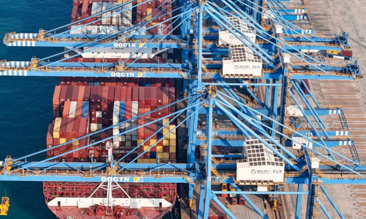 Grands portiques bleus en action, chargeant des conteneurs sur un navire. La capacité porte conteneur est impressionnante, montrant la logistique mondiale.