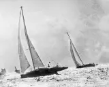 Course de voiliers en pleine mer, avec Michel Malinovsky à la barre d'un des bateaux.