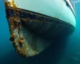 Vue sous-marine du **bateau mou** couvert d'algues et de coquillages, sa coque blanche et noire contrastant avec le bleu profond de l'eau.