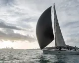 Un voilier navigue avec un grand gennaker noir gonflé par le vent, contrastant avec le spinnaker gris. La ville d'Auckland se dessine à l'horizon.