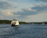 Un ferry blanc navigue sur une eau bleue, laissant une traînée derrière lui. La vitesse du bateau est visible dans le sillage. Au loin, des voiliers et une côte boisée.