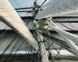 Vue en contre-plongée des voiles d'un voilier, avec le gréement dormant complexe et les cordages épais.