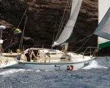 Un voilier cap horn, le "Windicator", navigue près d'une côte rocheuse. Le drapeau sud-africain flotte fièrement.