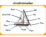 Schéma d'un voilier expliquant les parties : mât, voiles, coque, proue, poupe, safran, cockpit.