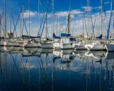 Une flotte de voiliers anglais, leurs mâts élancés se reflétant sur l'eau calme d'un port sous un ciel bleu éclatant.