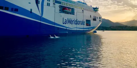 Le ferry "La Méridionale" se prépare à partir, le ballast navire est ajusté pour la traversée. L'eau reflète le ciel doré.