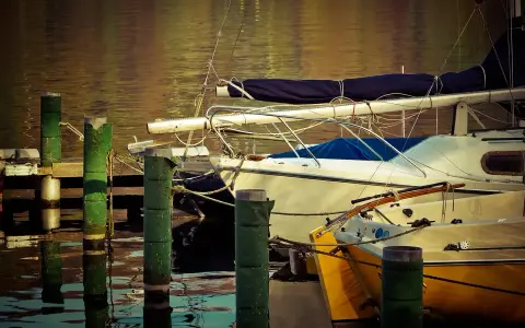 Des voiliers blancs et jaunes amarrés, un jouet 550, avec des poteaux verts reflétant dans l'eau calme.