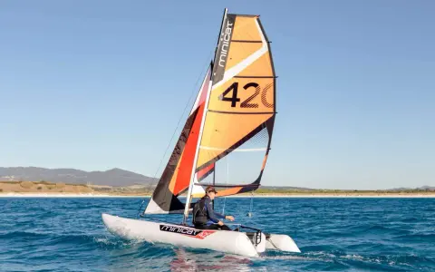 Un catamaran berny cat navigue sur une mer bleue, avec une voile orange et noire portant le numéro 42.