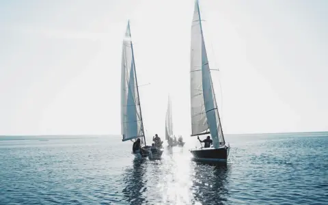 Voiliers naviguant au soleil. Le vent gonfle les voiles, une scène qui illustre la **tribord amure définition** en action.