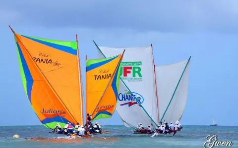 Plusieurs yoles bateaux colorées naviguent sur une mer bleue, leurs voiles gonflées par le vent.