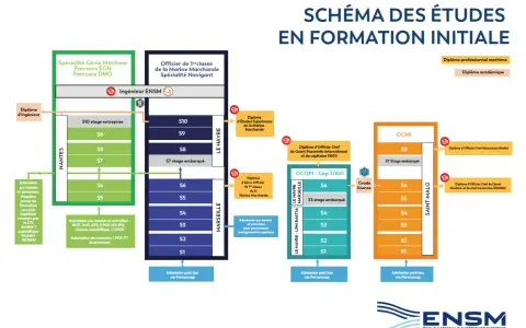 Le schéma des études ENSM montre les parcours pour devenir officier ou ingénieur maritime. Un futur boat captain peut y trouver sa voie.