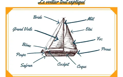 Schéma d'un voilier expliquant les parties : mât, voiles, coque, proue, poupe, safran, cockpit.