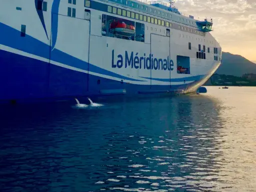 Le ferry "La Méridionale" se prépare à partir, le ballast navire est ajusté pour la traversée. L'eau reflète le ciel doré.