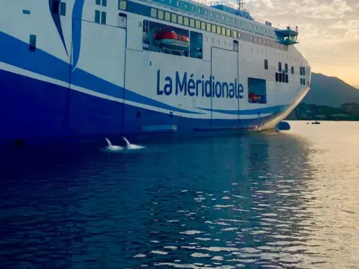 Le ferry "La Méridionale" se prépare pour son voyage, l'eau s'échappe des systèmes de ballastage.
