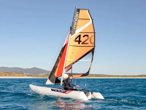 Un catamaran berny cat navigue sur une mer bleue, avec une voile orange et noire portant le numéro 42.