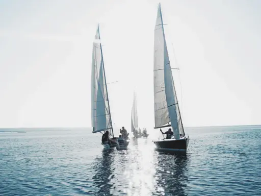 Voiliers naviguant au soleil. Le vent gonfle les voiles, une scène qui illustre la **tribord amure définition** en action.