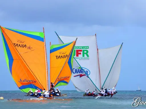 Plusieurs yoles bateaux colorées naviguent sur une mer bleue, leurs voiles gonflées par le vent.