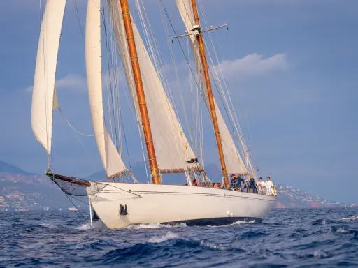 Un élégant voilier blanc, tel un cygne noir sur l'eau, navigue avec ses voiles gonflées par le vent, longeant une côte méditerranéenne.