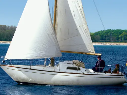 Un voilier blanc navigue sur une mer bleue, ses voiles gonflées par le vent. L'écume de mer danse autour de la coque. Deux personnes et un chien profitent de la balade.