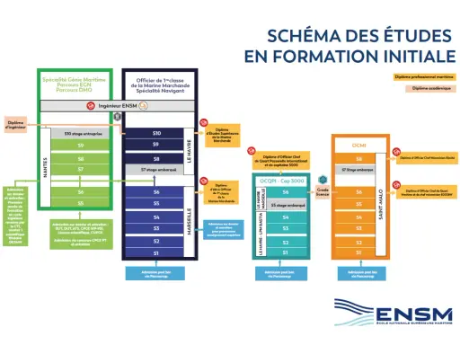 Le schéma des études ENSM montre les parcours pour devenir officier ou ingénieur maritime. Un futur boat captain peut y trouver sa voie.