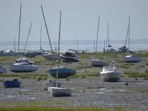Échoués sur la vase, plusieurs voiliers et bateaux à moteur attendent la marée. Une scène typique de la fiche technique d'un port, avec des bateaux de type Edel 4.