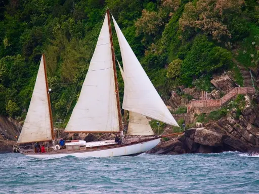 Un magnifique voilier 2 mâts navigue près d'une côte rocheuse verdoyante.