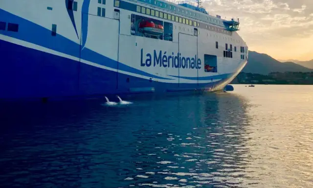 Le ferry "La Méridionale" se prépare pour son voyage, l'eau s'échappe des systèmes de ballastage.