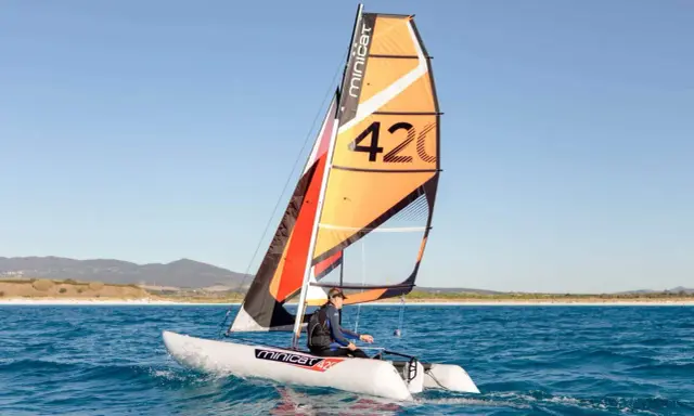 Un catamaran berny cat navigue sur une mer bleue, avec une voile orange et noire portant le numéro 42.