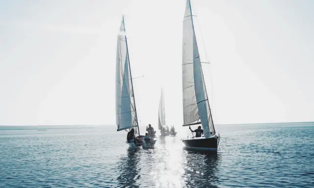Voiliers naviguant au soleil. Le vent gonfle les voiles, une scène qui illustre la **tribord amure définition** en action.