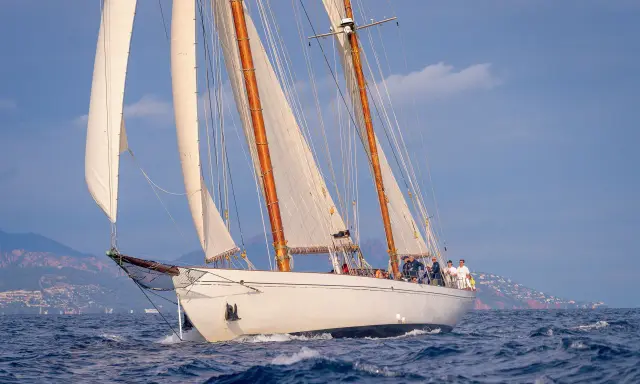 Un élégant voilier blanc, tel un cygne noir sur l'eau, navigue avec ses voiles gonflées par le vent, longeant une côte méditerranéenne.