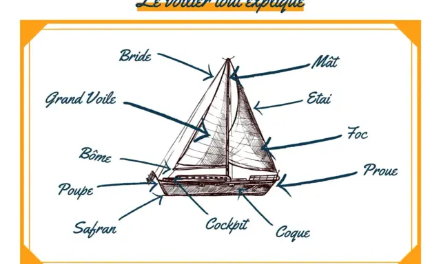 Schéma d'un voilier expliquant les parties : mât, voiles, coque, proue, poupe, safran, cockpit.
