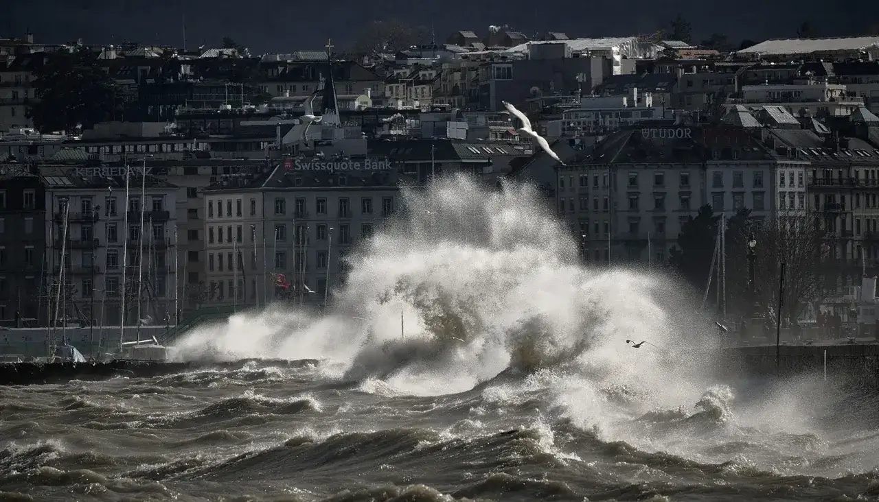 Vague déferlante sur le lac Léman, une tempête s'abat sur la ville. Des mouettes volent au-dessus des flots déchaînés.