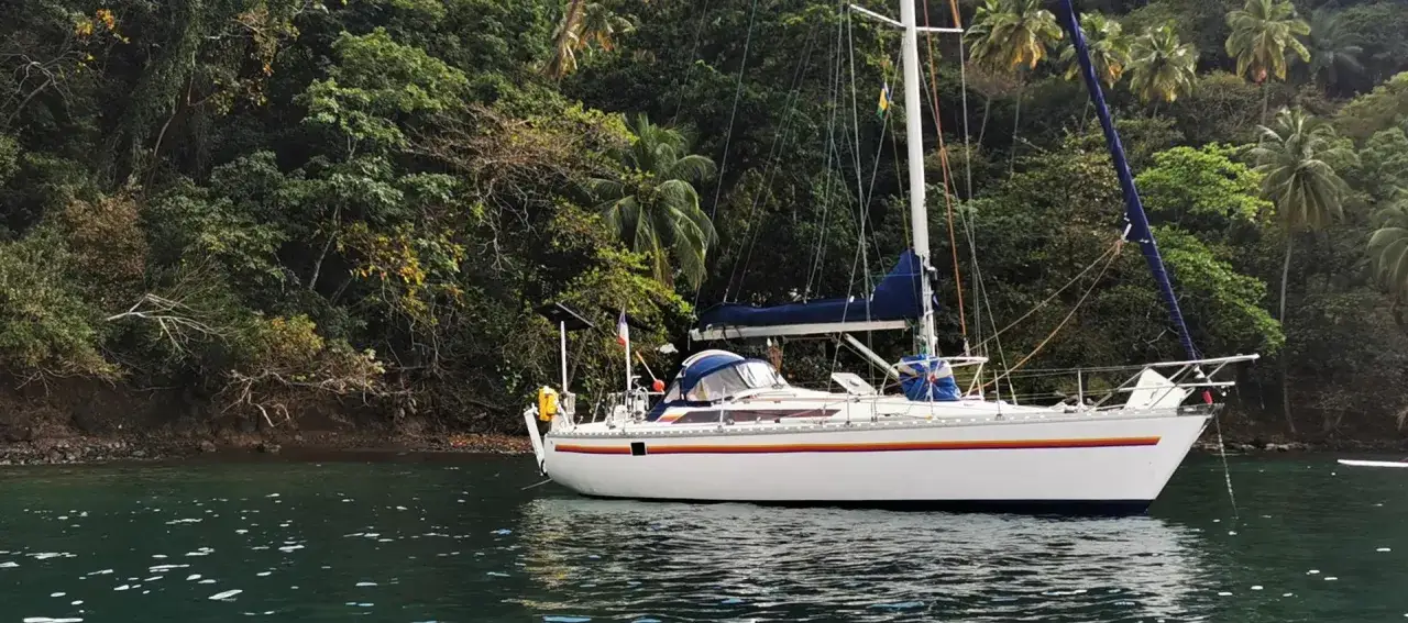 Voilier blanc ancré près d'une côte luxuriante et verdoyante. Le trismus 32 semble prêt pour une aventure tropicale.